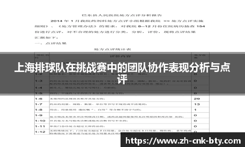 上海排球队在挑战赛中的团队协作表现分析与点评